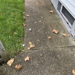 Dom's Landscaping - My property was clean before the landscaping staff, this is now the 4th time.