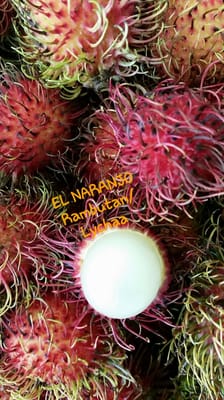 El Naranjo by null