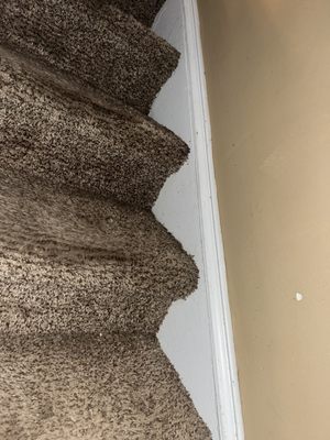 Bright Delight Cleaning