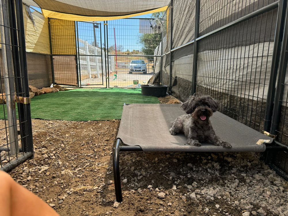 All Good Dogs - pet boarding facility in San Diego, CA
