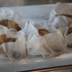 Dollop Shop - Cookies