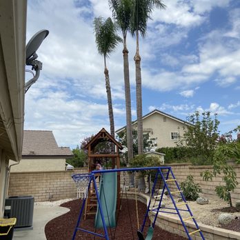 Tony's BC Tree Service - After - Tree Services Near Me - Orange, California Tony's BC Tree Service - After - Tree Services Near Me - Orange, California