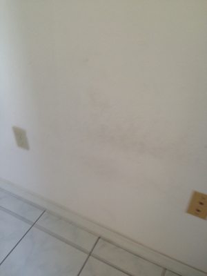 Karen Kurzdorfer, CHARLES RUTENBERG REALTY INC by null