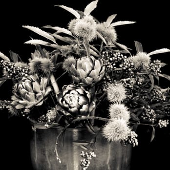 von blumen - Florists Near Me - Freiburg, BW von blumen - Florists Near Me - Freiburg, BW