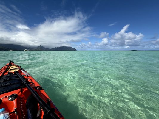 Kaneohe Sandbar by null