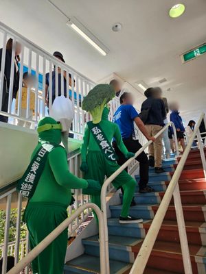 Asakusa Hanayashiki by null