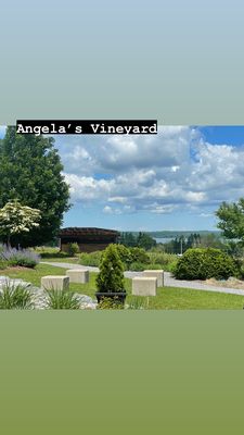 Anyela's Vineyards by null