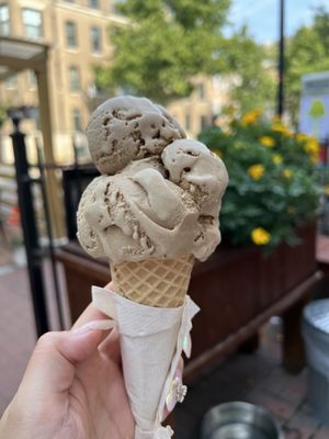 Mount Desert Island Ice Cream by null