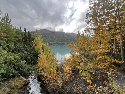 Alaska Pablo's Bicycle Rentals& Tours by null