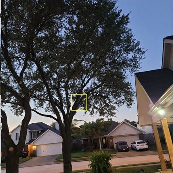 On Point Tree Service - Branches still over the flowerbed - Tree Services Near Me - Katy, Texas On Point Tree Service - Branches still over the flowerbed - Tree Services Near Me - Katy, Texas