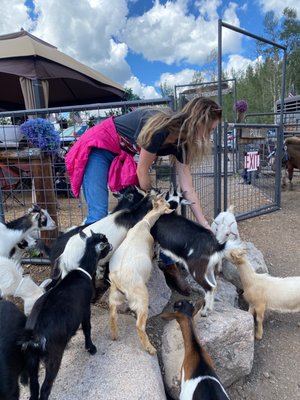 Vail Stables by null