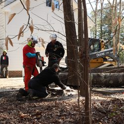 Gonzalez Tree Pros & Crane
