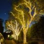 Neptune Lighting & Designs