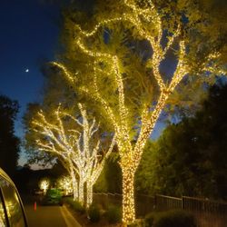 Neptune Lighting & Designs - Check out the progress