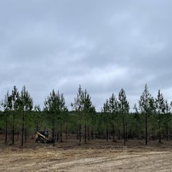 Southeast Land Clearing - Some of our work!