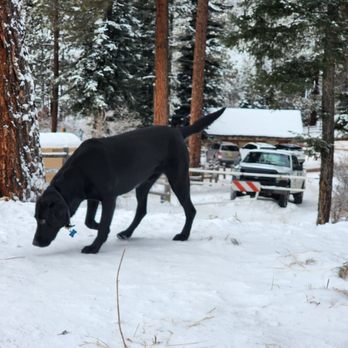 Hyde Memorial State Park - Trooper, the grounds keeper - Parks Near Me - Santa Fe, New Mexico