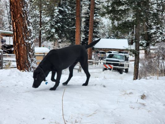 Hyde Memorial State Park by null