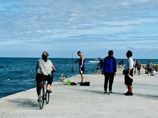 Bal Harbour Beach by null