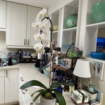 Flowerful - Orchid in cement vessel. - Florists Near Me - Laguna Woods, California