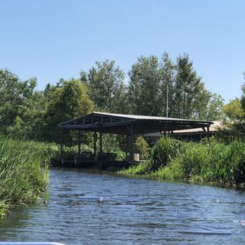Ultimate Swamp Adventures - Tours Near Me - Westwego, Louisiana