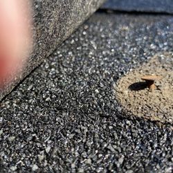 Stewart Exteriors - Nail pushed through the shingle, causing a leak