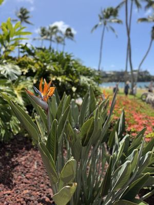 The Royal Sonesta Kaua'i Resort Lihue by null