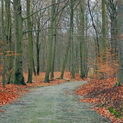 Volkspark Klein Glienicke