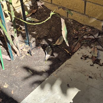 Rock N Block -Turf N Hardscapes - additional drip - Artificial Turf Near Me