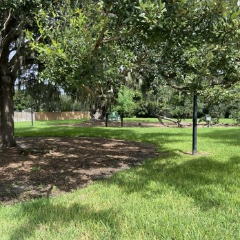 Big Tree Park - Parks Near Me - Orlando, Florida Big Tree Park - Parks Near Me - Orlando, Florida