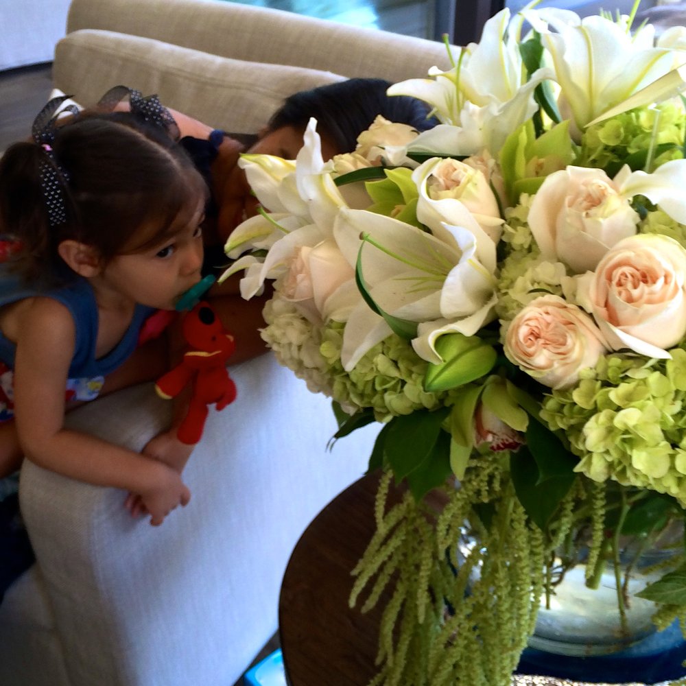 Seasons Florist - Florists Near Me - Aliso Viejo, California Seasons Florist - Florists Near Me - Aliso Viejo, California