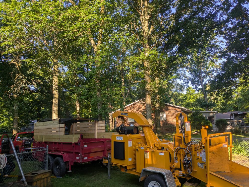 Damber Tree & Yard Service - tree service in Otsego, MI