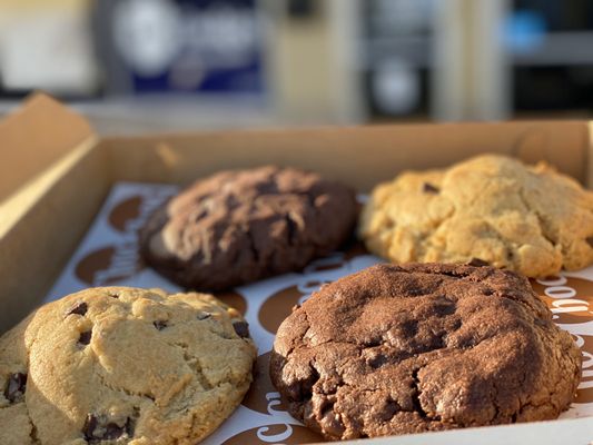 Choc Cookies by null