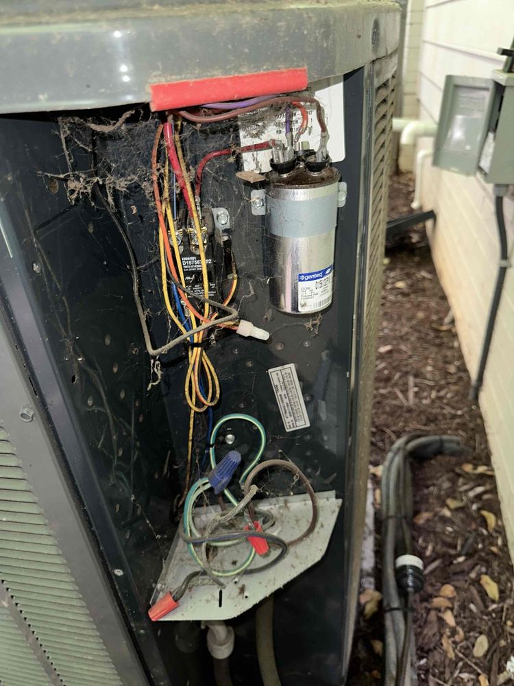 Slide of Swift Brothers