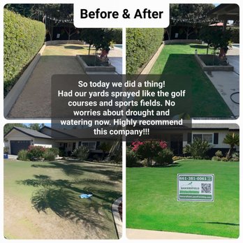 Bakersfield Lawn Painting - Lawn Services Near Me - Bakersfield, California Bakersfield Lawn Painting - Lawn Services Near Me - Bakersfield, California