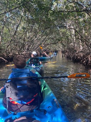 Happy Paddler Kayak Tours & Rentals - Lido Key Ted Sperling Park by null