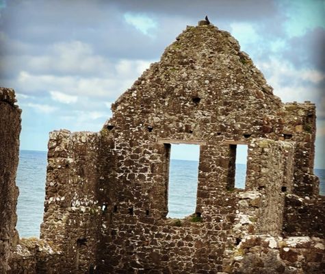 Dunluce Castle by null