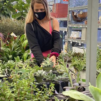 The Home Depot - Checking out the succulents. - Hardware Stores Near Me - Fort Worth, Texas