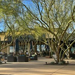 The Vic Bar + Kitchen - The patio where guests can eat or enjoy drinks.