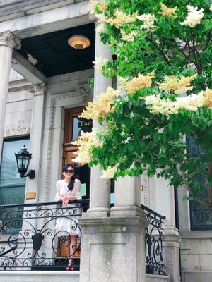 McGill University by null