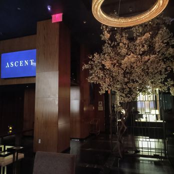 Ascent Lounge - Cocktail Bars Near Me - New York, New York