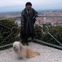 Bar - Tabacchi - Lotto