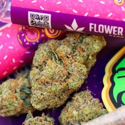Green Genie Cannabis - Redford Detroit - Flower Power at Green Genie