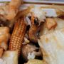 Photo of Yummy Chinese Restaurant