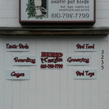 Bird Mania - 3235 W Emaus Ave, Allentown, PA 18103 - Pet Stores Near Me - Allentown, Pennsylvania Bird Mania - 3235 W Emaus Ave, Allentown, PA 18103 - Pet Stores Near Me - Allentown, Pennsylvania