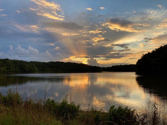 Sweetwater Creek State Park by null