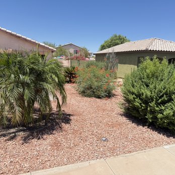 Lightning Tree Services - Before yard cleanup - Tree Services Near Me - Avondale, Arizona Lightning Tree Services - Before yard cleanup - Tree Services Near Me - Avondale, Arizona