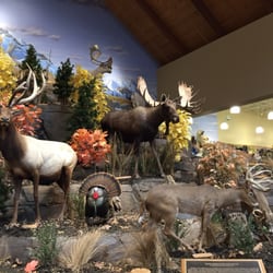 Cabela's