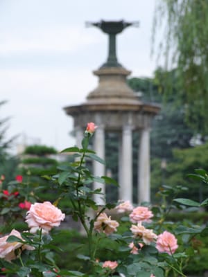 Tsuruma Park by null