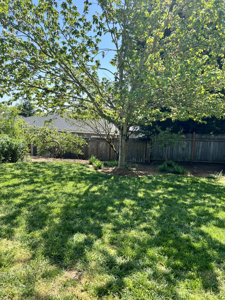 Foundations Home Child Care - childcare center in Salem, OR