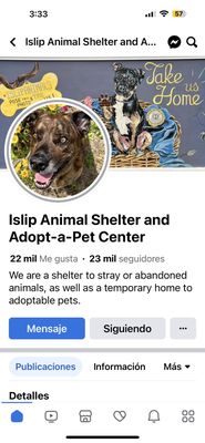 ISLIP TOWN OF ANIMAL SHELTER - Updated February 2026 - 22 Reviews - 200